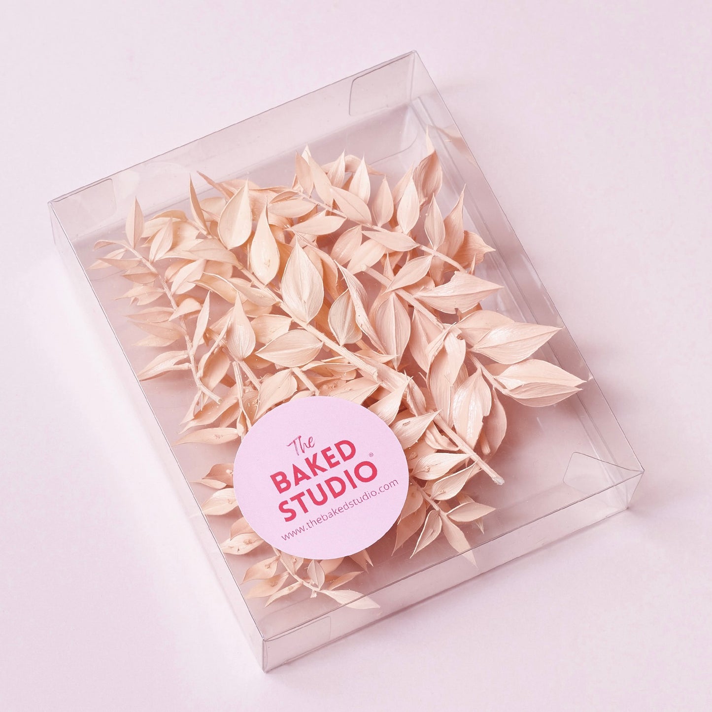 Dried Flower Box Ruscus (Light Pink)