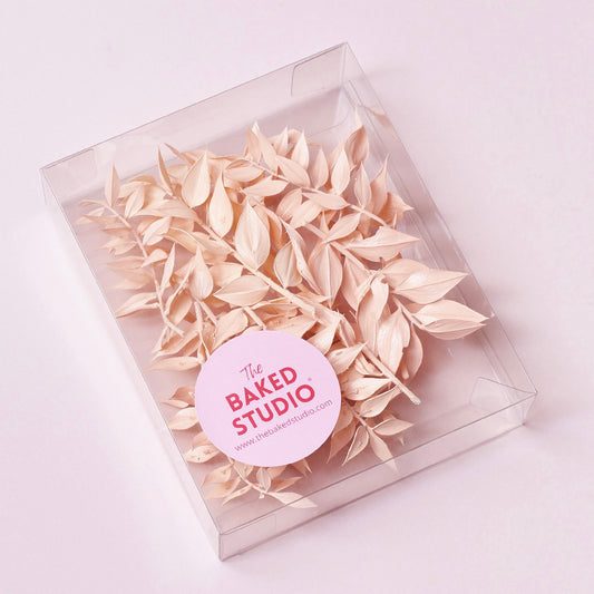 Dried Flower Box Ruscus (Light Pink)