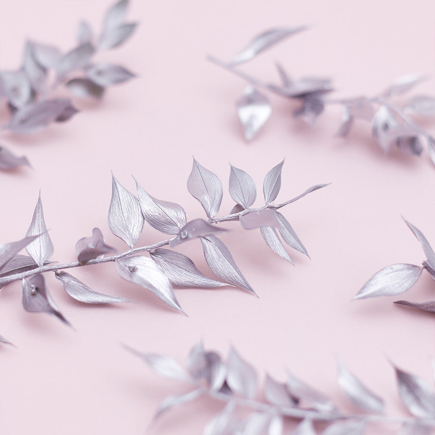 Dried Flower Box Ruscus (Silver)