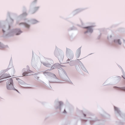 Dried Flower Box Ruscus (Silver)
