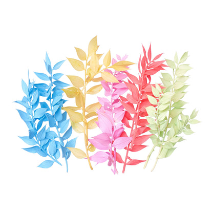 Dried Flower Box Ruscus (Rainbow Pastel)