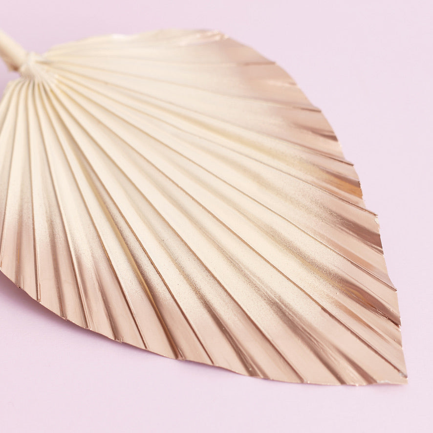 Decorated Dried Palm Spear (Cream & Gold Ombre)