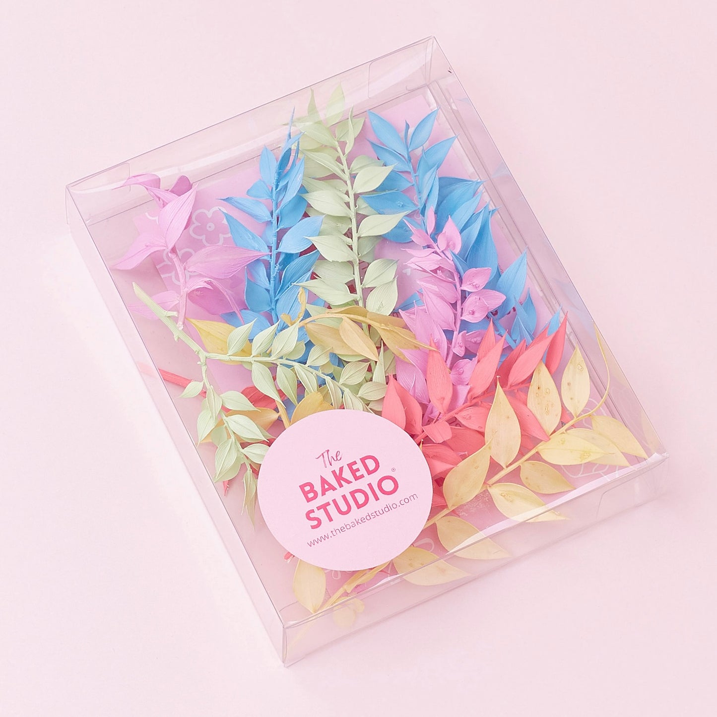 Dried Flower Box Ruscus (Rainbow Pastel)