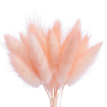 Dried Flower Box Lagurus / Bunny Tails (Peach)
