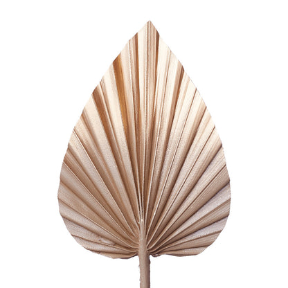 Decorated Dried Palm Spear (Mocha Latte & Gold Ombre)