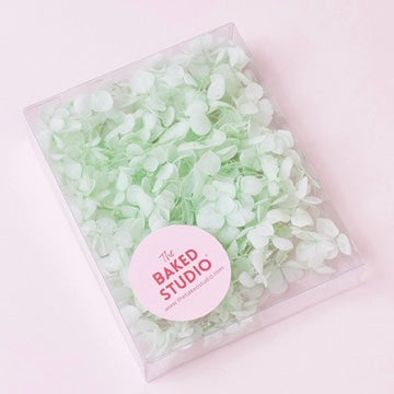 Dried Flower Box Hydrangea (Light Green)