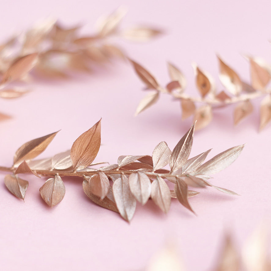 Dried Flower Box Ruscus (Gold)