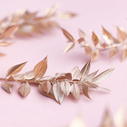 Dried Flower Box Ruscus (Gold)