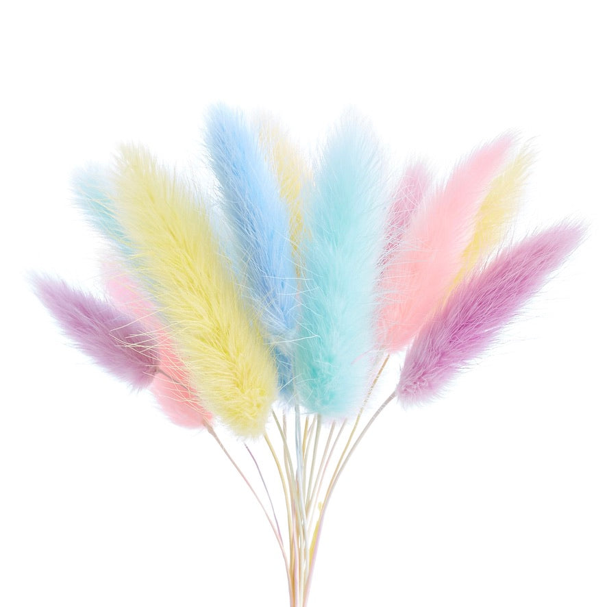 Dried Flower Box Lagurus / Bunny Tails (Rainbow Pastel)