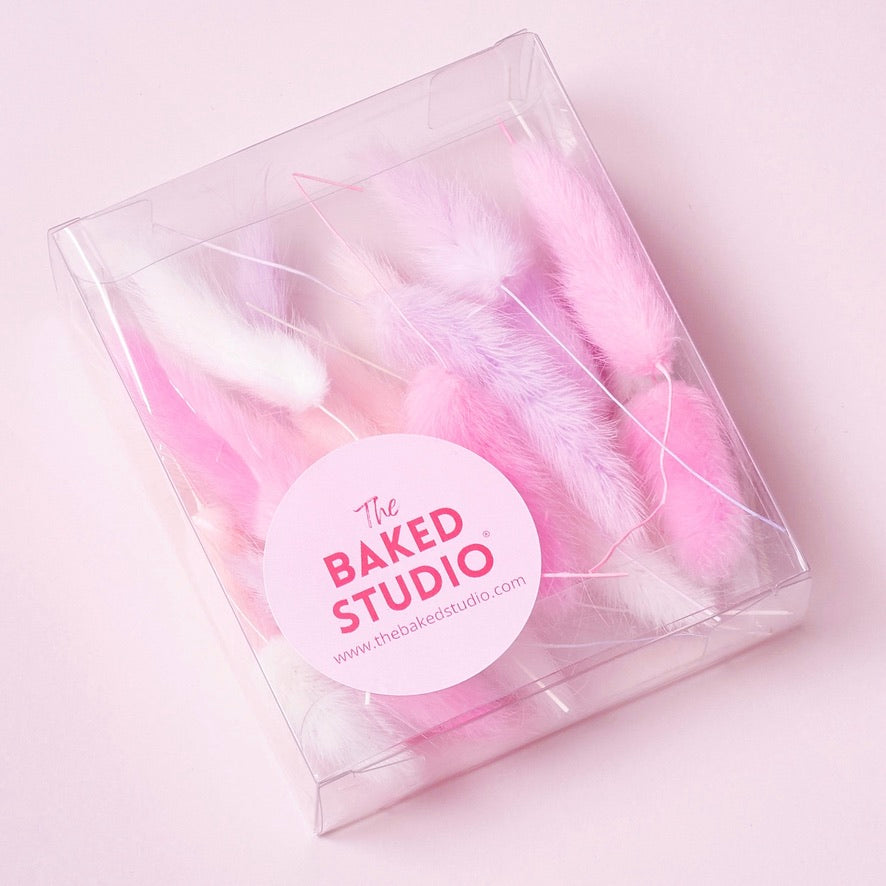 Dried Flower Box Lagurus / Bunny Tails (Pink, Lilac, White)