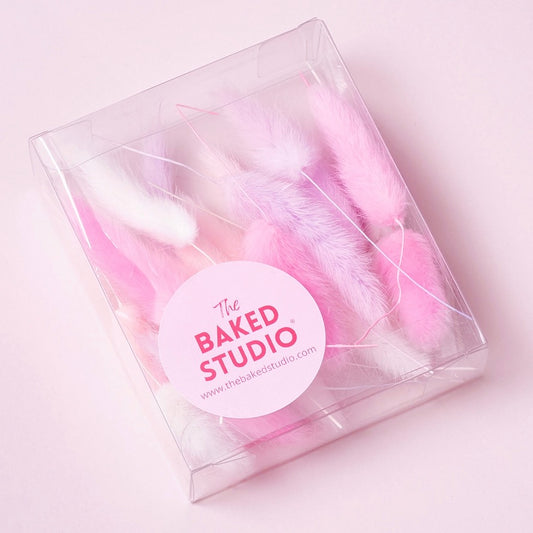 Dried Flower Box Lagurus / Bunny Tails (Pink, Lilac, White)