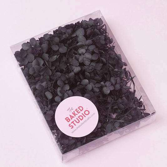 Dried Flower Box Hydrangea (Black)