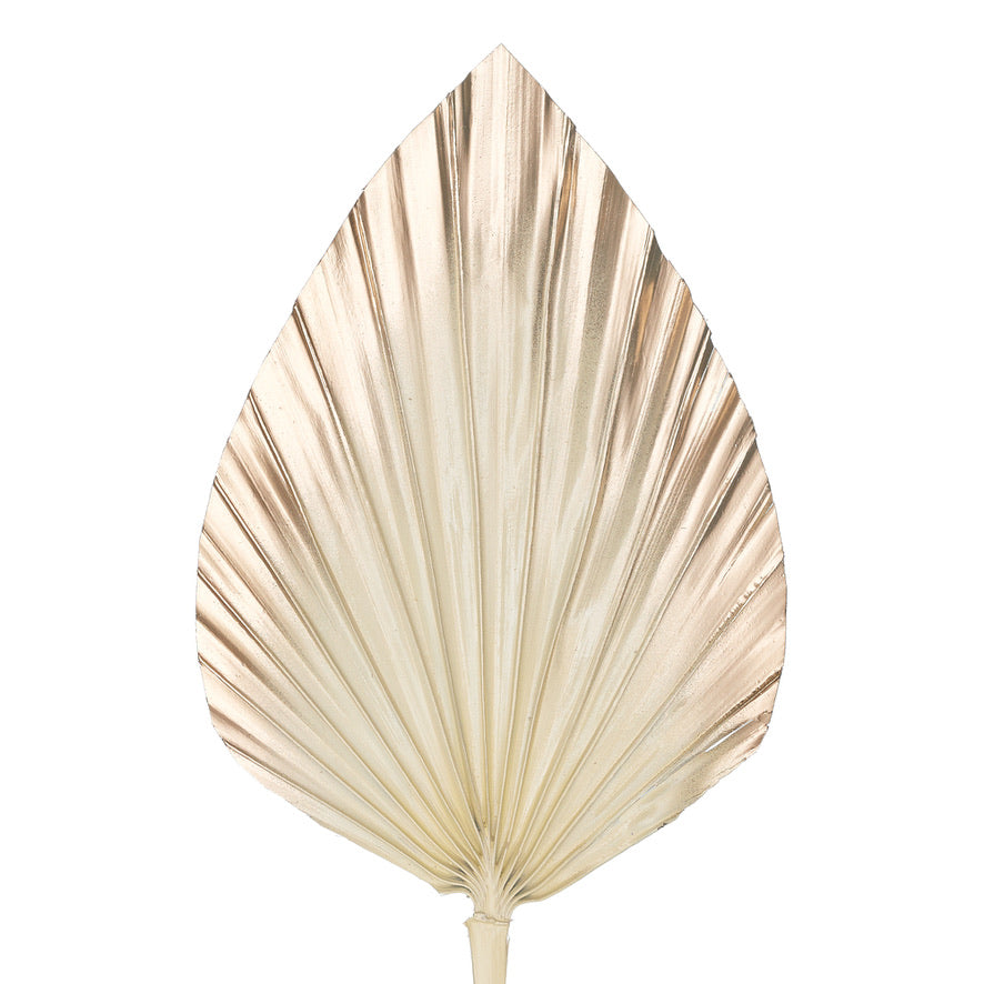 Decorated Dried Palm Spear (Cream & Gold Ombre)