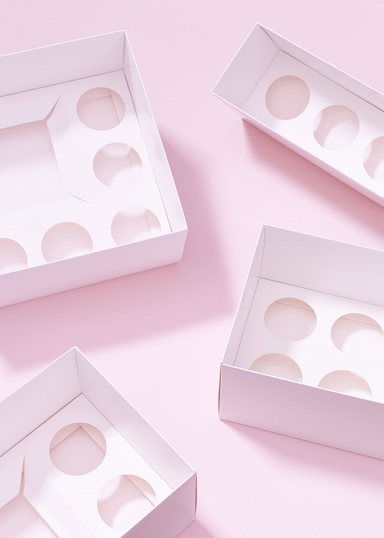 Extra Tall Premium Bento Boxes – Pack of 5 with Clear Lids (5 Holes)