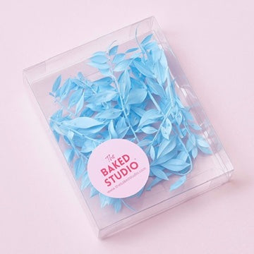 Dried Flower Box Ruscus (Light Blue)