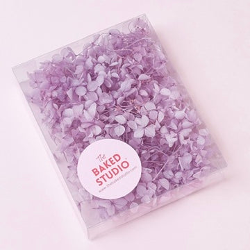 Dried Flower Box Hydrangea (Lilac)