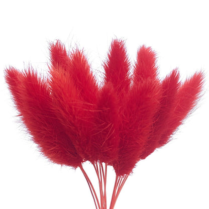 Dried Flower Box Lagurus / Bunny Tails (Red)