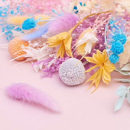 Deluxe Dried Flower Box (Rainbow Pastels)