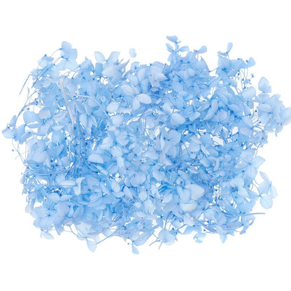 Dried Flower Box Hydrangea (Light Blue)