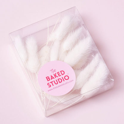 Dried Flower Box Lagurus / Bunny Tails (White)