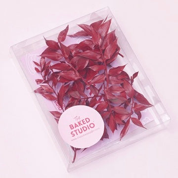 Dried Flower Box Ruscus (Red)