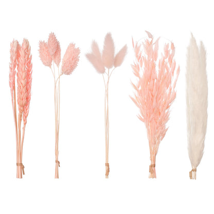 Dried Flower Box Mixed (Light Pink)