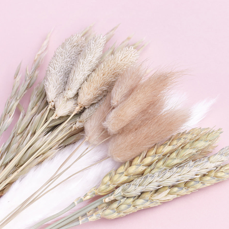 Dried Flower Box Mixed (Natural)