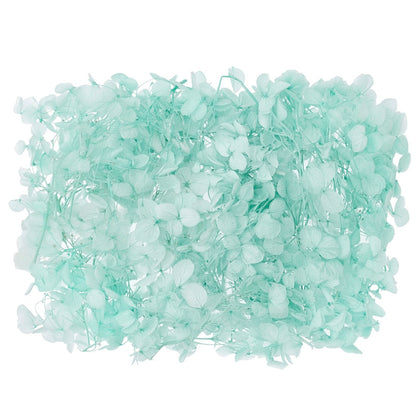 Dried Flower Box Hydrangea (Turquoise)