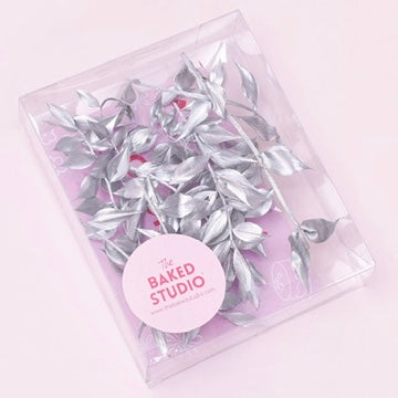 Dried Flower Box Ruscus (Silver)