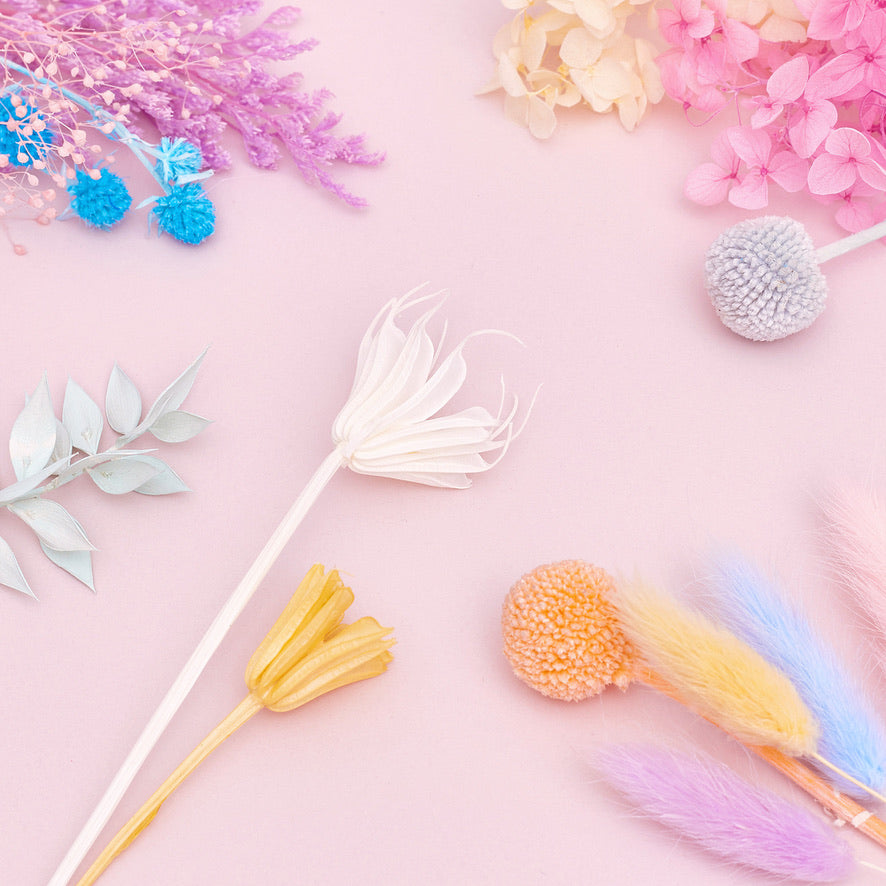 Deluxe Dried Flower Box (Rainbow Pastels)
