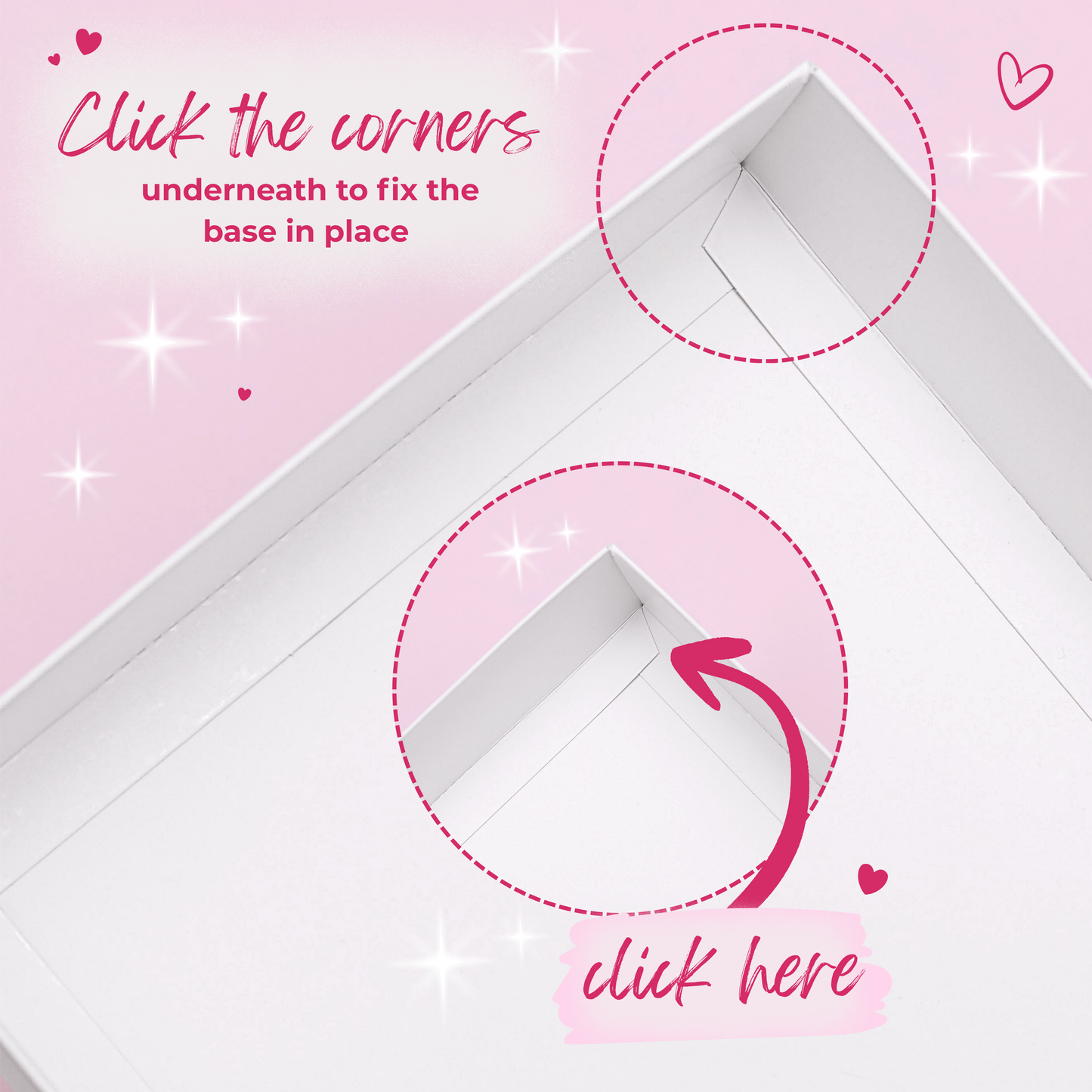 Extra Tall Premium Bento Boxes – Pink - Pack of 5 with Clear Lids (5 Holes)