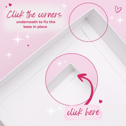 Extra Tall Premium Bento Boxes – Pink - Pack of 5 with Clear Lids (5 Holes)