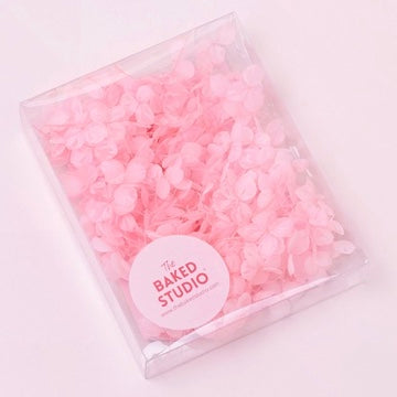 Dried Flower Box Hydrangea (Bright Pink)