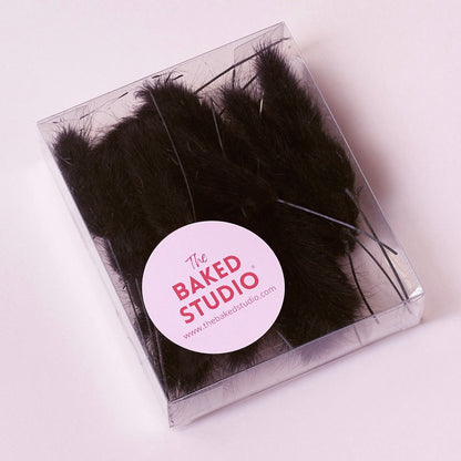 Dried Flower Box Lagurus / Bunny Tails (Black)