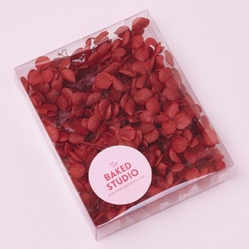 Dried Flower Box Hydrangea (Deep Red)