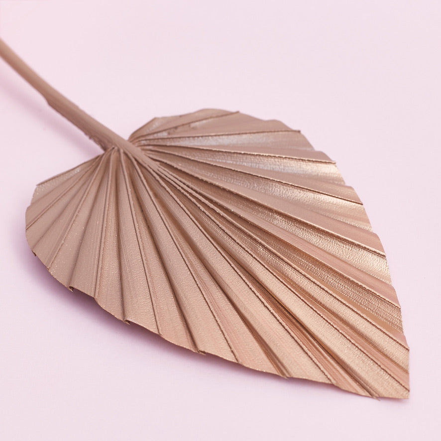 Decorated Dried Palm Spear (Mocha Latte & Gold Ombre)