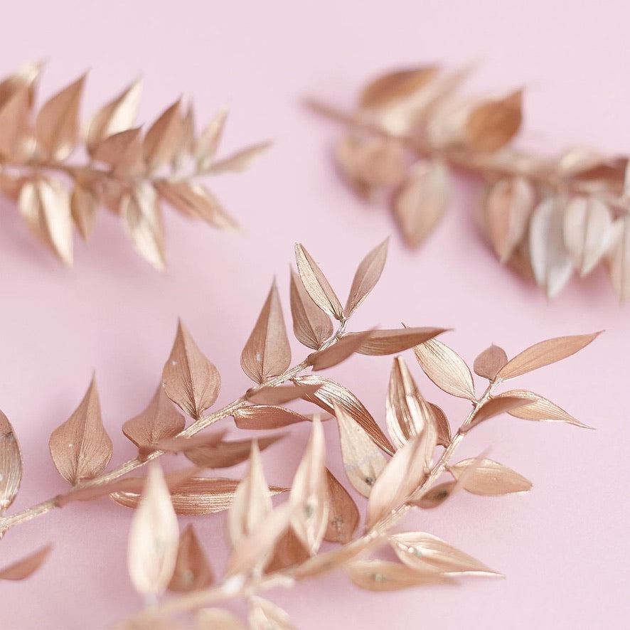 Dried Flower Box Ruscus (Gold)