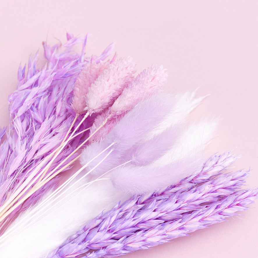 Dried Flower Box Mixed (Purple)