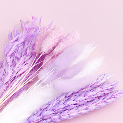 Dried Flower Box Mixed (Purple)