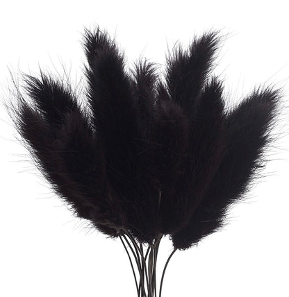 Dried Flower Box Lagurus / Bunny Tails (Black)