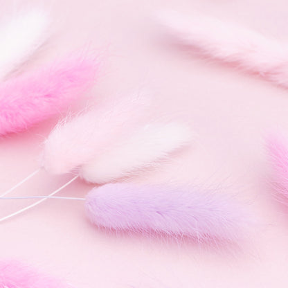 Dried Flower Box Lagurus / Bunny Tails (Pink, Lilac, White)