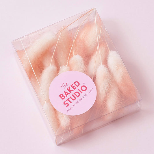 Dried Flower Box Lagurus / Bunny Tails (Peach)