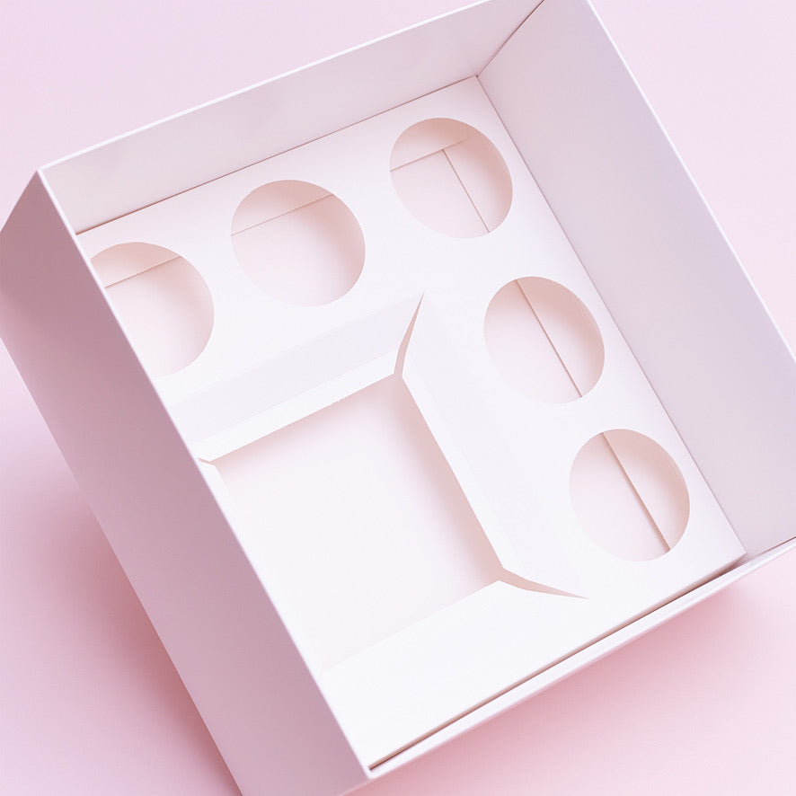 Extra Tall Premium Bento Boxes – Pack of 5 with Clear Lids (5 Holes)