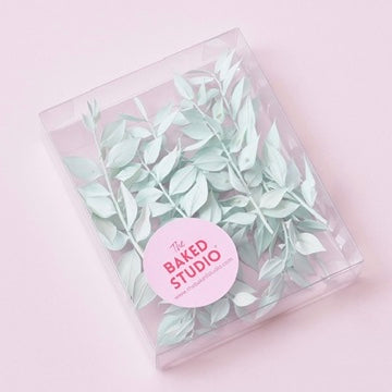 Dried Flower Box Ruscus (Light Green)