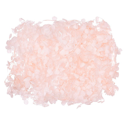 Dried Flower Box Hydrangea (Light Pink)