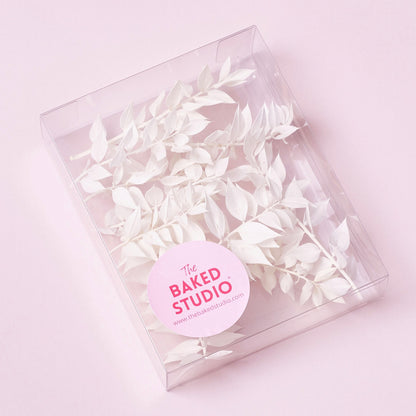 Dried Flower Box Ruscus (White)